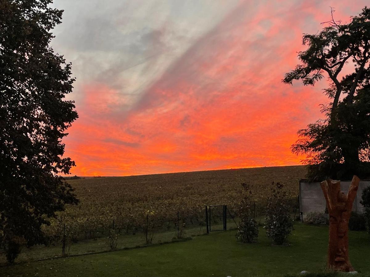 Best View, Pool And Spa On The Champagne Vineyard Saint-Thierry Exterior foto