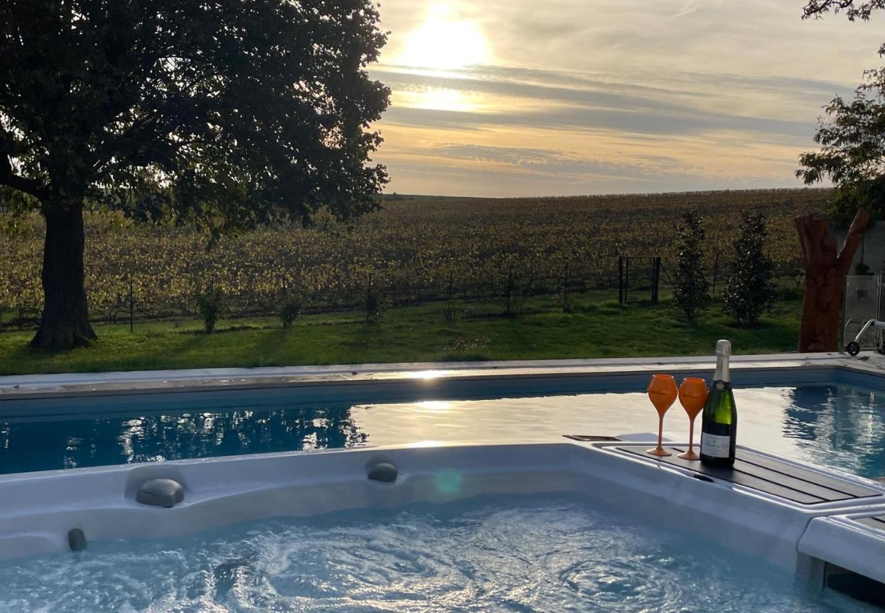 Best View, Pool And Spa On The Champagne Vineyard Saint-Thierry Exterior foto
